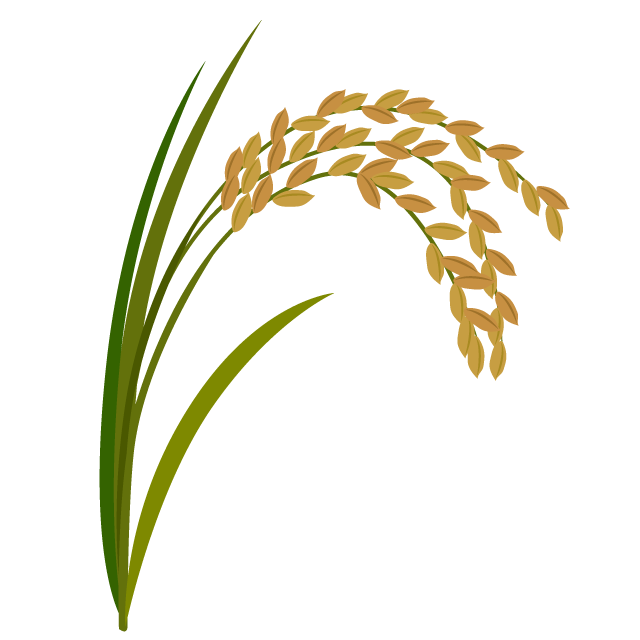 お米（水稲）のイラスト